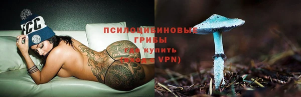 экстази Алексин
