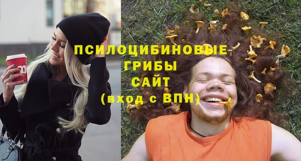 круглые Алексеевка