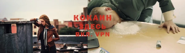 круглые Алексеевка