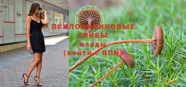 круглые Алексеевка